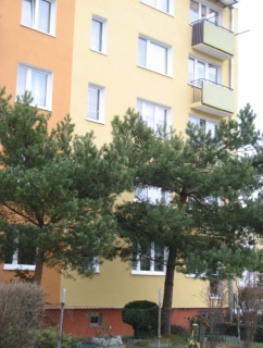 Gdynia, ul. Wejherowska 34-41