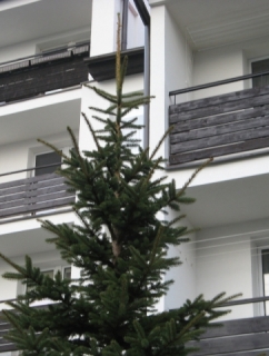 Gdynia, ul. Rdestowa 33_5