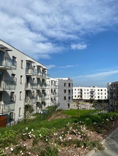 MW KONTRAKT CEDROWA_13