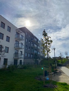 MW KONTRAKT CEDROWA_1