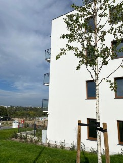 MW KONTRAKT CEDROWA_8